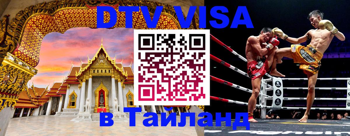 Оформление DTV визы под ключ: стоимость и тарифы, только загранпаспорт - Домодедово 